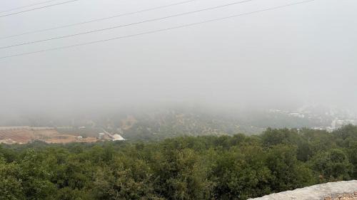 Ajloun House | Furnished house بيت مفروش ابو فارس