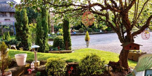 Chatenois House | Gîte au centre de l'alsace