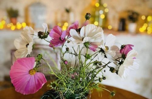 Montaigu-le-Blin House | Gîte chaleureux avec spa, proche Vichy - FR-1-489-522