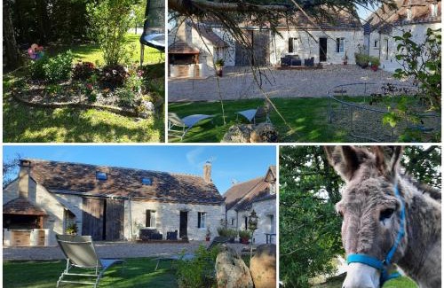 Saint-Nicolas-des-Motets House | Gîte charmant proche d'Amboise et Blois - FR-1-381-145