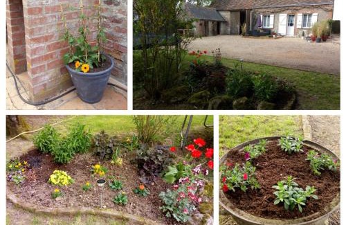 Saint-Nicolas-des-Motets House | Gîte charmant proche d'Amboise et Blois - FR-1-381-145
