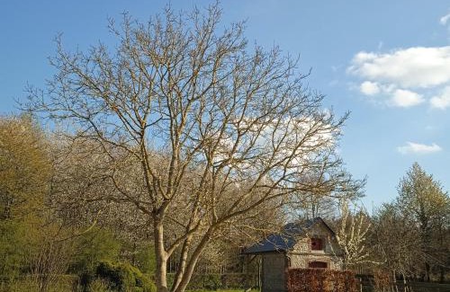 Vatteville La Rue House | Gîte cosy en forêt