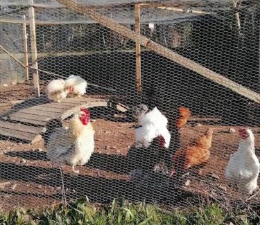 Bagnols-en-Foret House | Gîte de charme avec piscine privative