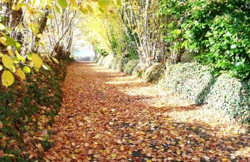 Coulans-sur-Gee House | Gîte de charme proche Le Mans avec jardin, parking, et bien-être - FR-1-410-205