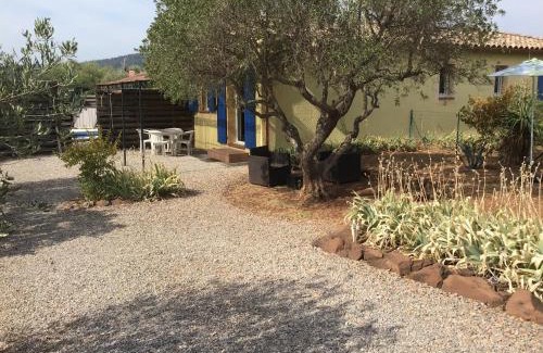 Le Luc House | Gîte des oliviers
