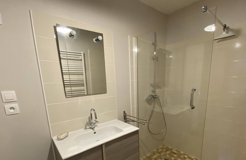 Montrichard Val de Cher House | Gîte du carroir, 16th century, private courtyard, between Beauval zoo and Chenonceaux