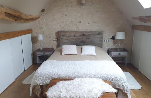 Choussy House | Gîte du "Chat botté" Zoo de Beauval Châteaux de La Loire 4 pers