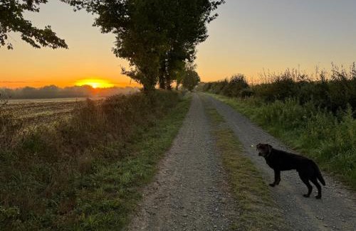 Foussais-Payre House | Gîte du Rossignol à 5 minutes du Château de la Citardière et à 14 minutes du Château de Bourneau