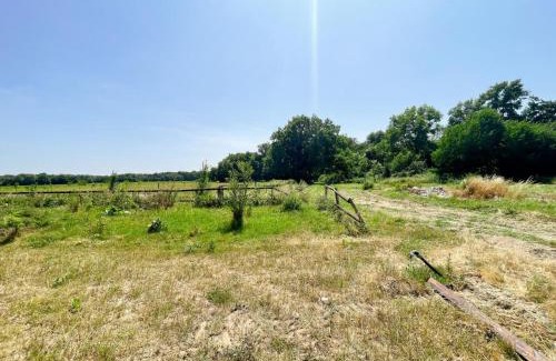 Courcelles-de-Touraine House | Gîte familial confortable au cœur de la nature, activités et découverte de ferme bio - FR-1-381-627