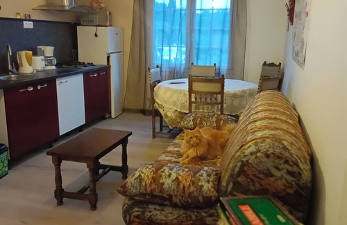 Montauriol Apartment | Gîte Indépendant Entre mer et Montagne Avec Piscine, Animaux Bienvenus