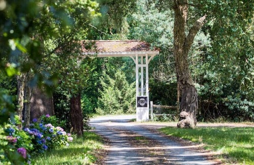 Soustons House | Gîte La Cabane de L'étang