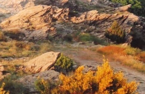 Cassagnas Cottage | Gîte La Cigale and La Fourmi for 4 people