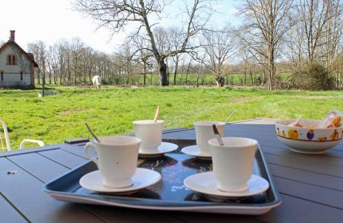 Trezelles House | Gîte lumineux 18ème siècle au Val de Besbre avec jardin privé - FR-1-489-281