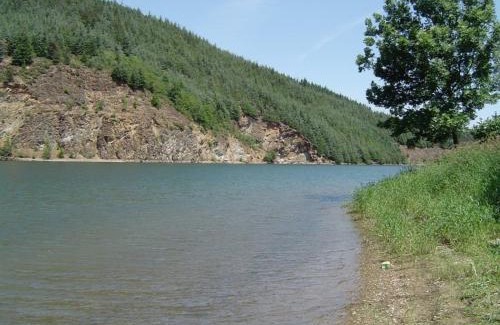 Doizieux House | Gîte lumineux avec terrasse, animaux admis - FR-1-496-155