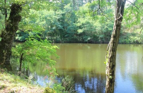 Montbrison House | Gîte moderne avec jardin et étang, près de Montbrison - FR-1-496-157