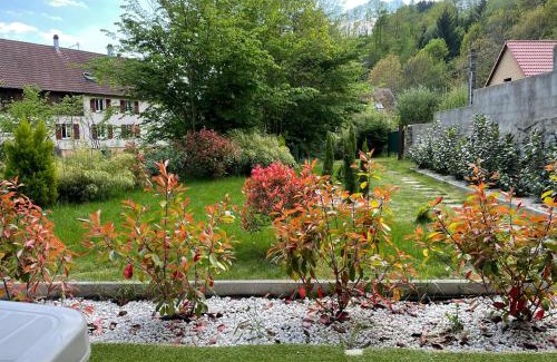 Soultzeren Apartment | Gîte Soultzerent