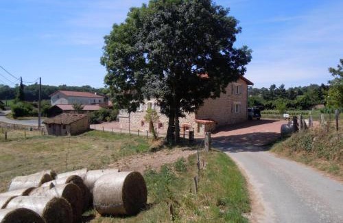 Chirassimont House | Gîte spacieux en campagne avec cheminée et animaux acceptés - FR-1-496-65