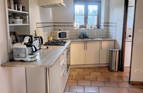 Saint-Haon-le-Vieux House | Gîte spacieux avec piscine, animaux admis à St Haon le Vieux - FR-1-496-156