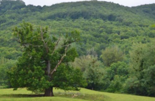 Severac-l'Eglise House | Gîtes des Palanges à l'Aubrac