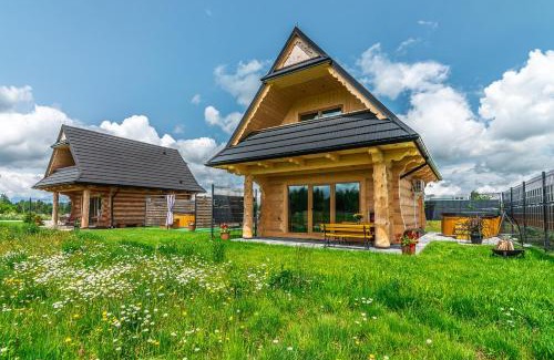 Czarny Dunajec House | Góralskie Domki u Topora