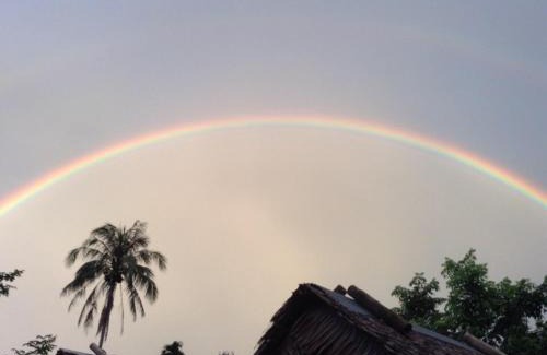 Phanom Other | Gaarawe, Khao Sok, Surat Thani Province, Thailande