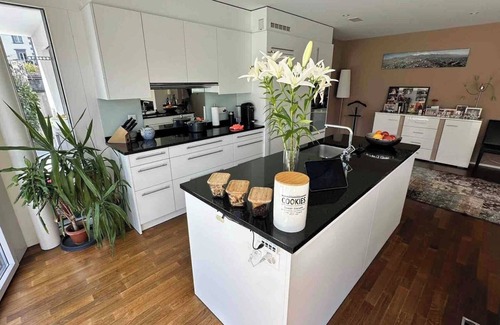 Horgen District Apartment | Garden apartment at Zurich lake