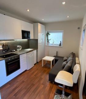 Kralupy nad Vltavou Apartment | Garden house on the Vltava riverbank 15 min to Prague
