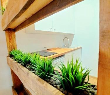 Raciborz Apartment | Garden House Jacuzzi