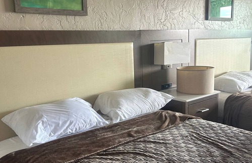 Bearss Plaza Hotel | Gardenview