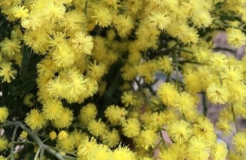 Meilhan House | Garragnon - Meilhan - Gîte