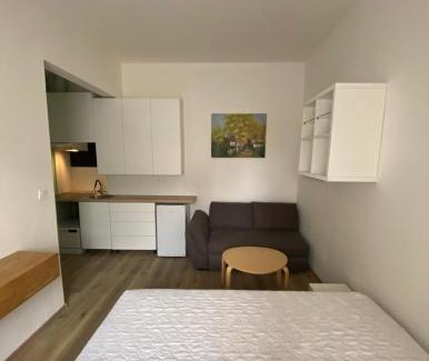Ostrava City Centre Apartment | Garsoniéra Ostrava City centr, Na Hradbách 118