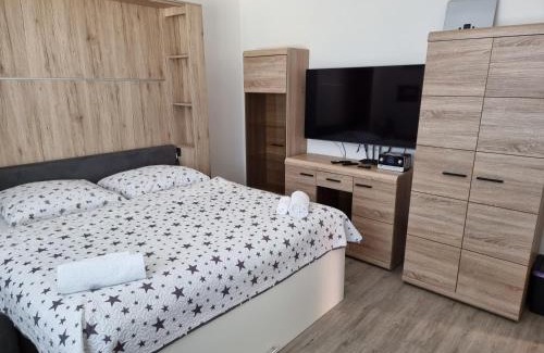 Decin Apartment | Garsoniera DUKLA 289
