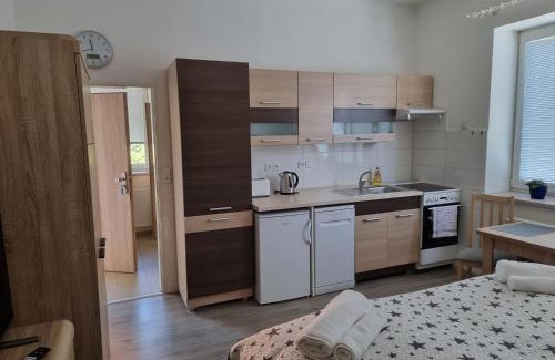 Decin Apartment | Garsoniera DUKLA 289