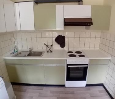 Schwabstedt Apartment | Gartenoase