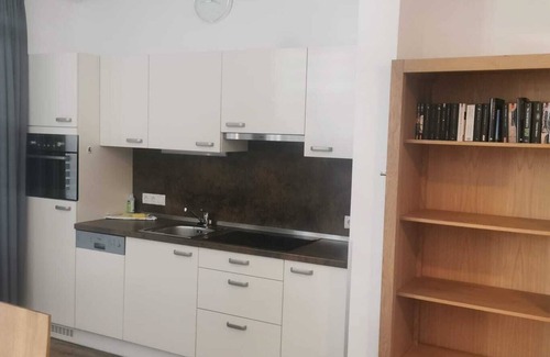 Sankt Gallenkirch Resort | Gastauer Apartments No. 101