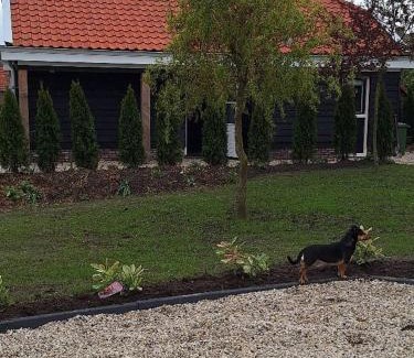 Westerland House | Gastenhuis Amstelmeerzicht.