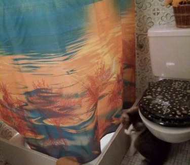 Oberbipp House | Gastzimmer für Übernachtung Гостевая комната