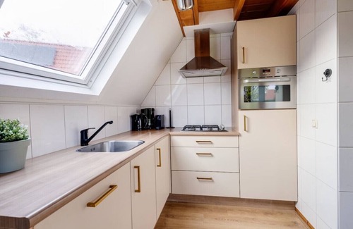 Zwiggelte House | Gekraagde Roodstaart | Bungalow met fijne groene tuin