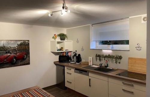 Sarreguemines Apartment | Gemütliche Oase - Geräumige Unterkunft