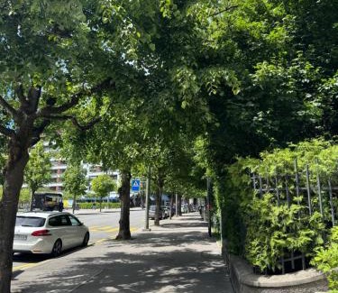 Fribourg Apartment | Gemütliche Wohnung Centre Ville