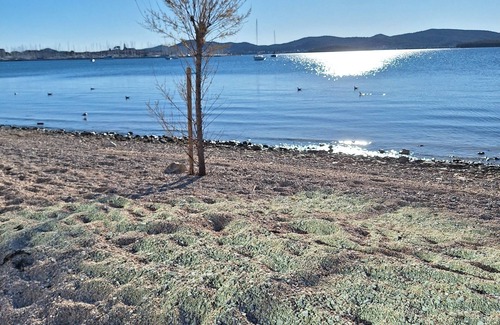 Biograd na Moru Apartment | Gemütliches Appartement, 25 qm in Biograd na Moru