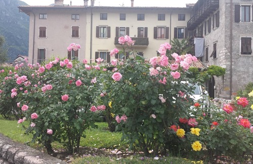 Riva del Garda House | Gemma Residence Between Sail and Rock .