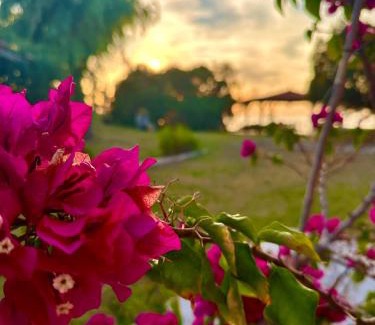 Pyrgos Apartment | Genari Beach Apartments -Family sea view apartment