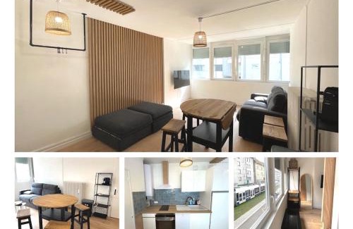 Gaillard Apartment | Geneva Modern Motel