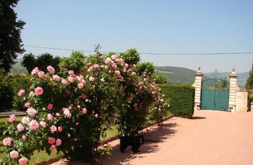 Prisse Bed & Breakfast | Gentilhommière de Collonges