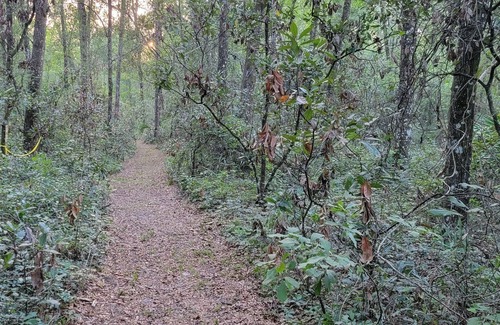 Old Town RV Rental | Get away to a nice primitive campsite 1 mile from the swaunnee river.