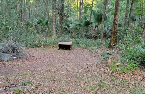 Old Town RV Rental | Get away to a nice primitive campsite 1 mile from the swaunnee river.