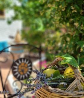 Oliena Apartment | Giardino Dei Limoni Apartment