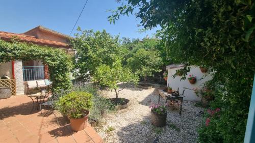 Oliena Apartment | Giardino Dei Limoni Apartment