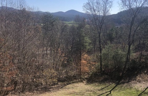 Hemp Cabin | Gigi`s Place,4br/3ba,Wifi,Walk in tub, sleeps 10 - Pet Friendly